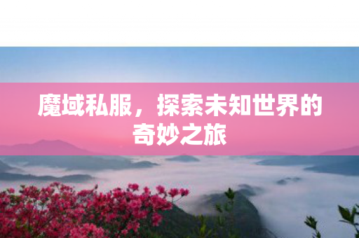 魔域私服，探索未知世界的奇妙之旅