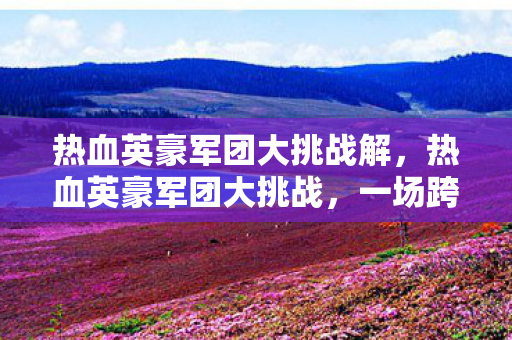热血英豪军团大挑战解，热血英豪军团大挑战，一场跨越时代的荣耀之战