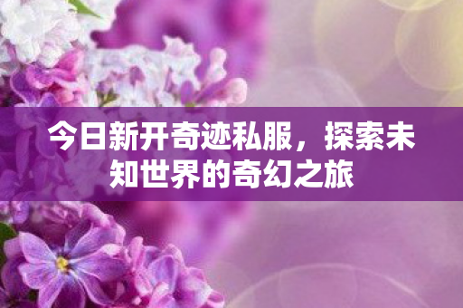 今日新开奇迹私服,探索未知世界的奇幻之旅 今日新开奇迹私服,探索未知世界的奇幻之旅