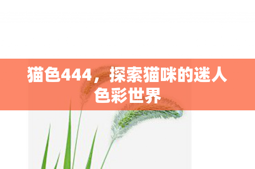 猫色444，探索猫咪的迷人色彩世界