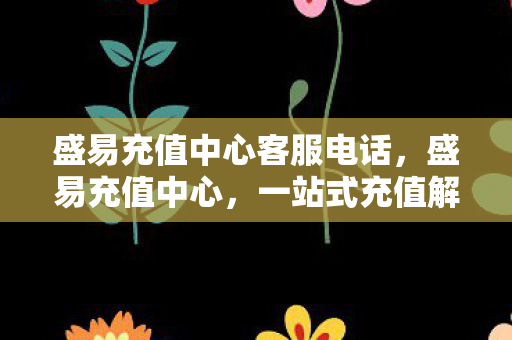 盛易充值中心客服电话，盛易充值中心，一站式充值解决方案