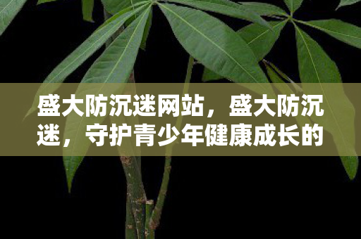 盛大防沉迷网站,盛大防沉迷,守护青少年健康成长的数字盾牌 盛大防沉迷网站,盛大防沉迷,守护青少年健康成长的数字盾牌
