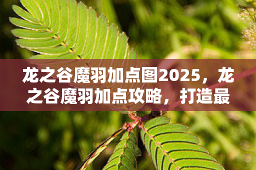 龙之谷魔羽加点图2025，龙之谷魔羽加点攻略，打造最强输出角色