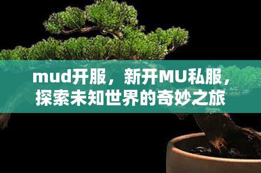 mud开服，新开MU私服，探索未知世界的奇妙之旅