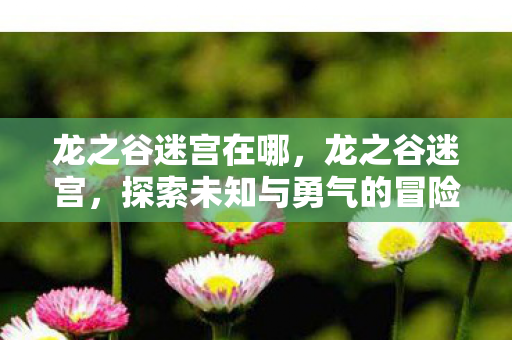 龙之谷迷宫在哪，龙之谷迷宫，探索未知与勇气的冒险之旅