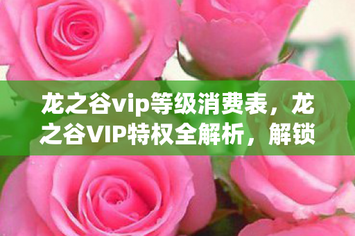 龙之谷vip等级消费表，龙之谷VIP特权全解析，解锁你的冒险之旅