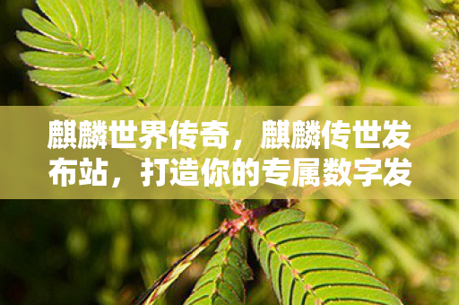 麒麟世界传奇，麒麟传世发布站，打造你的专属数字发布平台