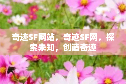 奇迹SF网站，奇迹SF网，探索未知，创造奇迹