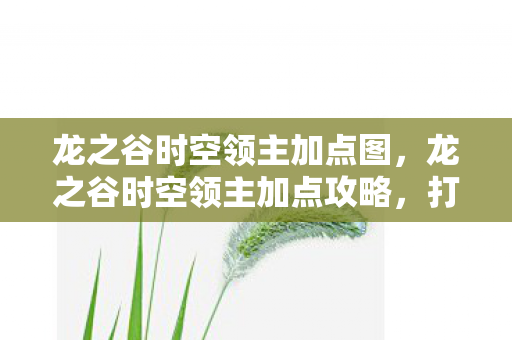 龙之谷时空领主加点图，龙之谷时空领主加点攻略，打造最强输出角色