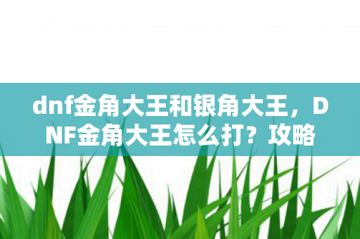dnf金角大王和银角大王，DNF金角大王怎么打？攻略详解
