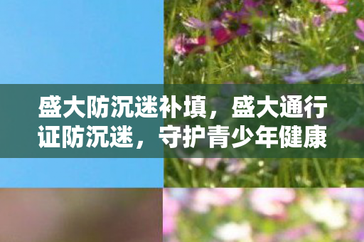 盛大防沉迷补填，盛大通行证防沉迷，守护青少年健康成长的数字防线