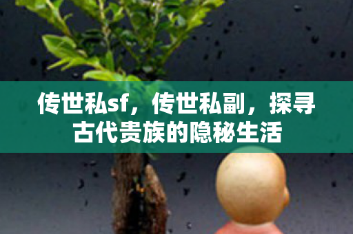 传世私sf，传世私副，探寻古代贵族的隐秘生活