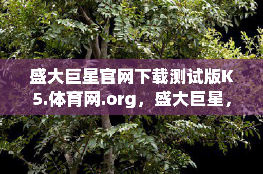 盛大巨星官网下载测试版K5.体育网.org，盛大巨星，娱乐产业的璀璨明珠