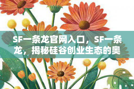 SF一条龙官网入口，SF一条龙，揭秘硅谷创业生态的奥秘