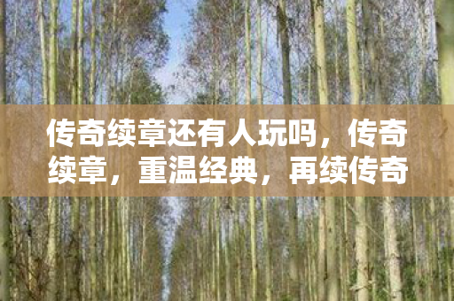 传奇续章还有人玩吗，传奇续章，重温经典，再续传奇