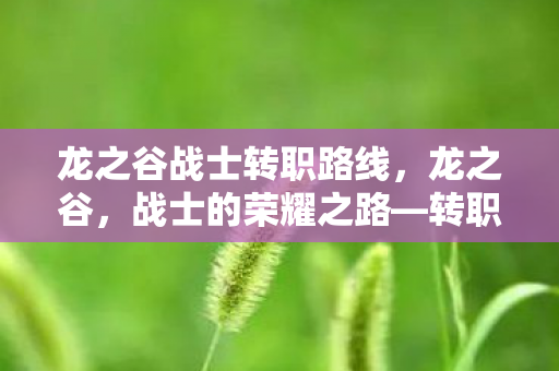 龙之谷战士转职路线，龙之谷，战士的荣耀之路—转职探索