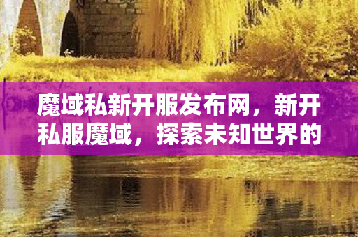 魔域私新开服发布网，新开私服魔域，探索未知世界的奇幻之旅