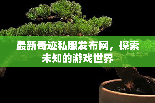 最新奇迹私服发布网，探索未知的游戏世界