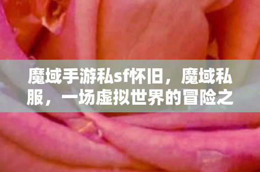 魔域手游私sf怀旧，魔域私服，一场虚拟世界的冒险之旅