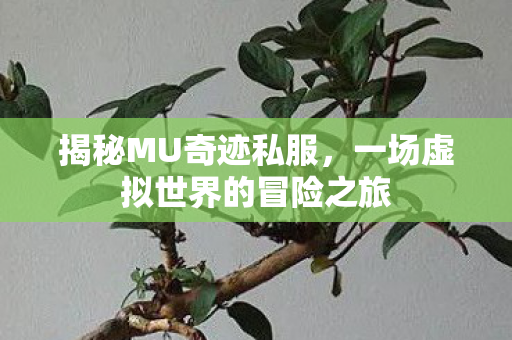 揭秘MU奇迹私服，一场虚拟世界的冒险之旅