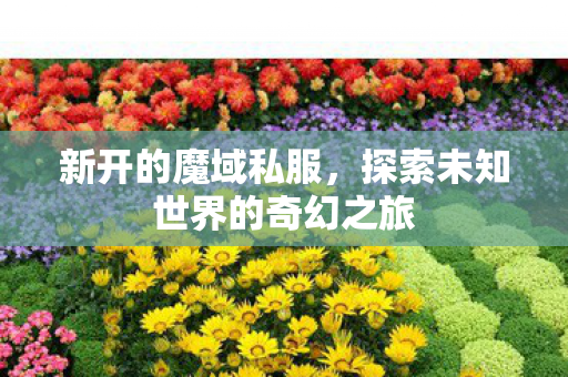 新开的魔域私服，探索未知世界的奇幻之旅