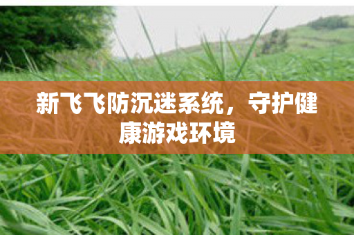 新飞飞防沉迷系统，守护健康游戏环境