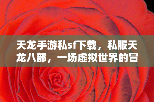 天龙手游私sf下载，私服天龙八部，一场虚拟世界的冒险之旅