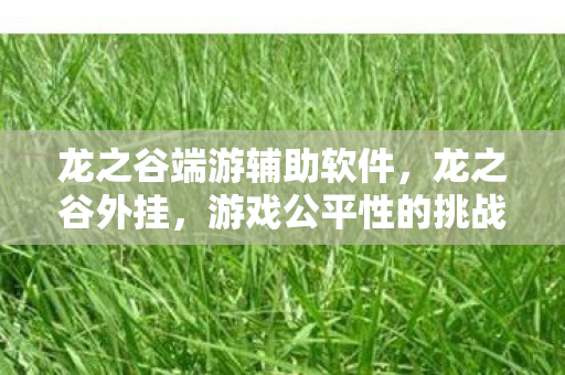 龙之谷端游辅助软件,龙之谷外挂,游戏公平性的挑战与应对 龙之谷端游辅助软件,龙之谷外挂,游戏公平性的挑战与应对