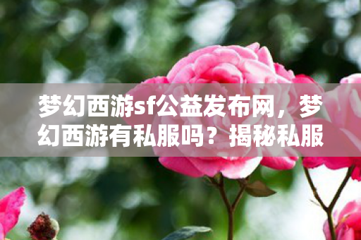 梦幻西游sf公益发布网，梦幻西游有私服吗？揭秘私服背后的真相