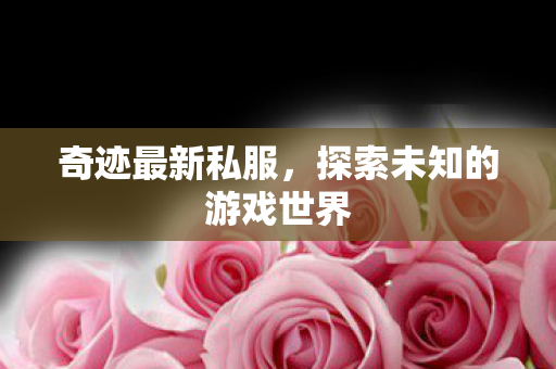 奇迹最新私服，探索未知的游戏世界