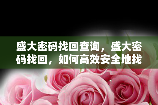 盛大密码找回查询，盛大密码找回，如何高效安全地找回丢失的账号