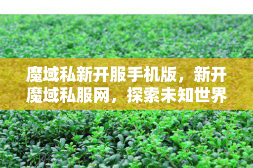 魔域私新开服手机版，新开魔域私服网，探索未知世界的奇幻之旅