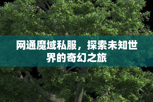 网通魔域私服，探索未知世界的奇幻之旅