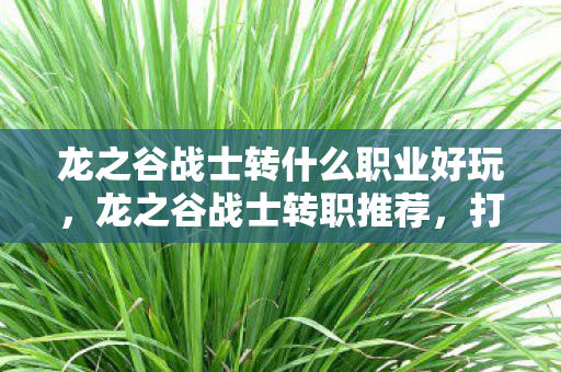 龙之谷战士转什么职业好玩，龙之谷战士转职推荐，打造你的专属战斗风格
