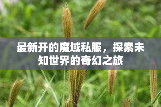 最新开的魔域私服，探索未知世界的奇幻之旅