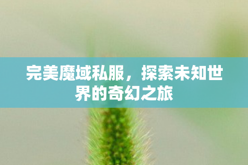 完美魔域私服,探索未知世界的奇幻之旅 完美魔域私服,探索未知世界的奇幻之旅