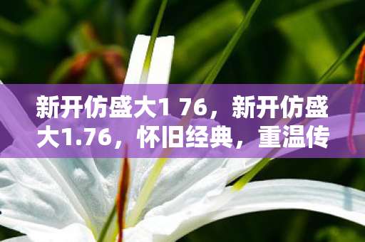 新开仿盛大1 76，新开仿盛大1.76，怀旧经典，重温传奇