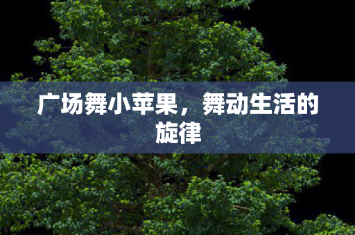 广场舞小苹果，舞动生活的旋律