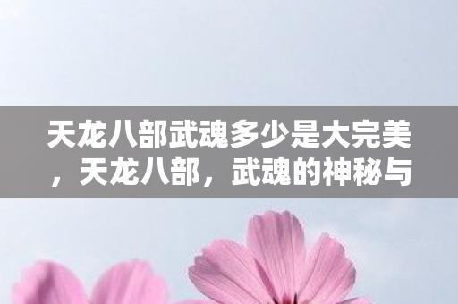 天龙八部武魂多少是大完美,天龙八部,武魂的神秘与传奇 天龙八部武魂多少是大完美,天龙八部,武魂的神秘与传奇