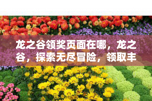 龙之谷领奖页面在哪,龙之谷,探索无尽冒险,领取丰厚奖励 龙之谷领奖页面在哪,龙之谷,探索无尽冒险,领取丰厚奖励