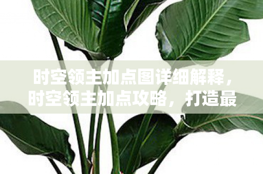 时空领主加点图详细解释，时空领主加点攻略，打造最强法师的奥秘