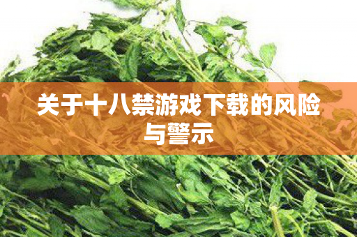 关于十八禁游戏下载的风险与警示