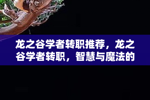 龙之谷学者转职推荐，龙之谷学者转职，智慧与魔法的交响曲