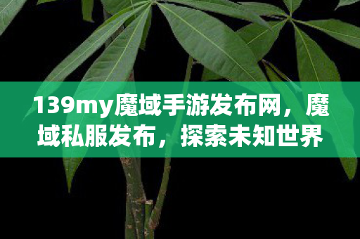 139my魔域手游发布网，魔域私服发布，探索未知世界的冒险之旅