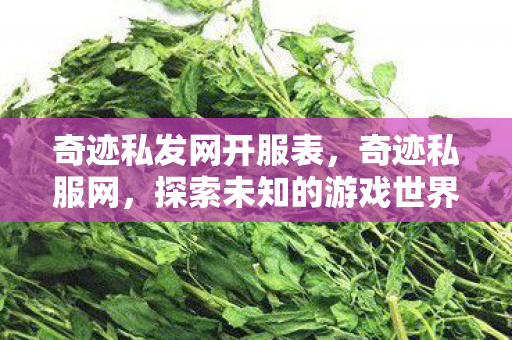 奇迹私发网开服表，奇迹私服网，探索未知的游戏世界