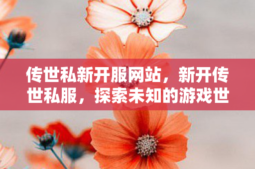 传世私新开服网站，新开传世私服，探索未知的游戏世界