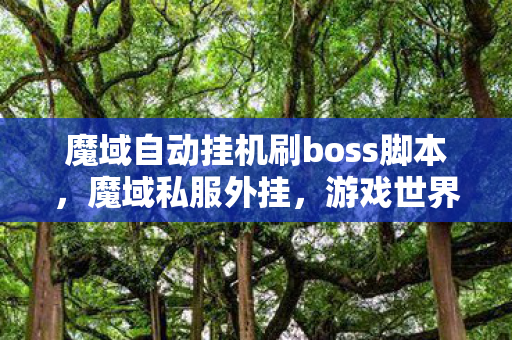 魔域自动挂机刷boss脚本，魔域私服外挂，游戏世界的灰色阴影