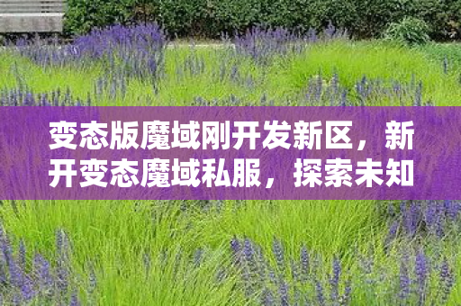 变态版魔域刚开发新区，新开变态魔域私服，探索未知世界的奇幻之旅