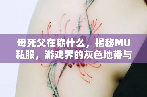 母死父在称什么，揭秘MU私服，游戏界的灰色地带与玩家心理
