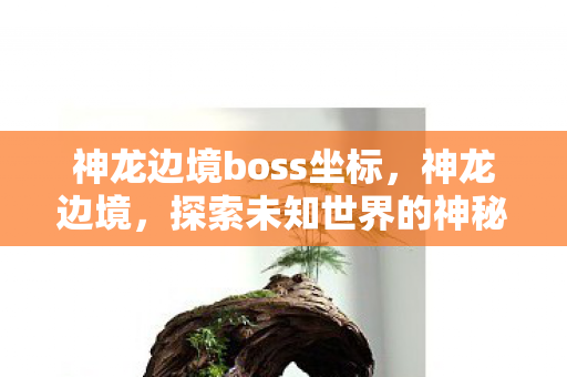 神龙边境boss坐标，神龙边境，探索未知世界的神秘之旅